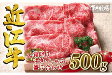 近江牛 霜降り すき焼き しゃぶしゃぶ  500g 冷凍 ロース カタ モモ 黒毛和牛 牛肉 肉 ギフト 自宅用 高級 黒毛和牛 国産 ふるさと納税 ブランド牛 三大和牛 和牛 贈り物 内祝い 神戸牛 松阪牛 に並ぶ 日本三大和牛 滋賀県 竜王町 澤井牧場