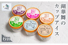 アイス 6個  セット カップアイス  デザート スイーツ お取り寄せ お菓子 ( アイス カップアイス ジェラート 国産 冷凍 6種 詰め合わせ ギフト お中元 お歳暮 抹茶 ミルク チョコレート ラムレーズン ヨーグルトラズベリー ミルクティー しぼりたて 牛乳 新鮮 湖華舞 古株牧場  )
