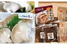 あわび茸 プレミアムセット きのこ 足太あわび茸 炊き込みご飯の素 佃煮 2種 山椒煮 昆布煮 チップス 国産 滋賀県 竜王町 送料無料 贈り物 ギフト プレゼント おかず おつまみ おやつ
