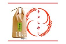【令和6年産 特別栽培 近江米  『キヌヒカリ』10kg(5kg×2)】米 近江米 キヌヒカリ ブランド米 滋賀県 竜王