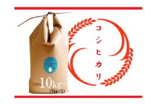 【令和6年産 特別栽培 近江米 『コシヒカリ』10kg(5kg×2)】米 近江米 こしひかり 滋賀県 竜王