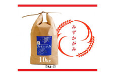 【令和6年産 特別栽培 近江米『みずかがみ』10kg(5kg×2)】米 近江米 みずかがみ ブランド米 滋賀県 竜王