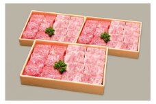 【9月お届け】【近江牛 焼肉セット(肩ロース・カルビ) 3kg】肉 牛肉 ブランド牛 三大和牛 和牛 黒毛和牛 国産 バーベキュー 贈り物 ギフト プレゼント 冷凍 滋賀県 竜王