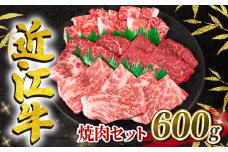 近江牛 焼肉セット 600g 冷凍 黒毛和牛 ( ブランド牛 牛肉 和牛 日本 三大和牛 惣菜 おかず 贈り物 霜降り 焼き肉 ギフト 国産 滋賀県 竜王町 岡喜 神戸牛 松阪牛 に並ぶ 日本三大和牛 ふるさと納税 )