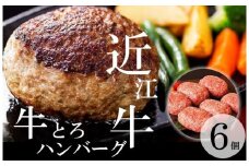 【通常配送】【近江牛 牛とろハンバーグ 150g 6個】ふるさと納税 冷凍 ハンバーグ ギフト お取り寄せ 贈答用  黒毛和牛 ブランド牛 三大和牛 和牛 冷凍食品 お弁当 おかず お惣菜 滋賀県 竜王