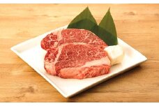 【通常配送】【近江牛 ステーキ用(ヒレ２枚)】肉 牛肉 ブランド牛 三大和牛 和牛 黒毛和牛 国産 バーベキュー 贈り物 ギフト プレゼント 冷凍 滋賀県 竜王