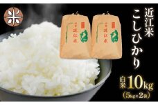 令和7年産 白米 10㎏ こしひかり 5kg × 2袋 精米 近江米 コシヒカリ 国産 お米 米 おこめ ごはん ご飯 白飯 しろめし こめ ゴハン 御飯 滋賀県産 竜王 ふるさと ランキング 人気 おすすめ