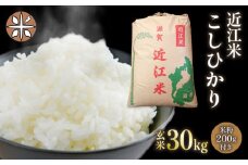 玄米 30㎏ 米粉 200g付 コシヒカリ 近江米 令和5年産 こめ 米 おこめ お米 ごはん ご飯 御飯 国産 滋賀県産 竜王 ふるさと ランキング 人気 おすすめ