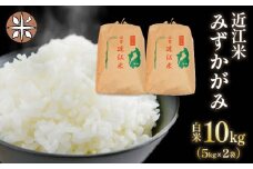 令和6年産 新米 白米 10㎏ みずかがみ 5kg × 2袋 精米 近江米 ミズカガミ 国産 お米 米 おこめ ごはん ご飯 白飯 しろめし こめ ゴハン 御飯 滋賀県産 竜王 ふるさと ランキング 人気 おすすめ
