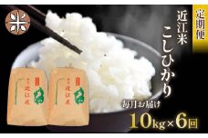 令和6年産 こしひかり 定期便 10kg 全6回 白米 5㎏ × 2袋 6ヶ月 近江米 コシヒカリ 国産 お米 米 おこめ ごはん ご飯 白飯 しろめし こめ ゴハン 御飯 滋賀県産 竜王 ふるさと ランキング 人気 おすすめ