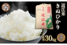玄米 30kg  米粉 200g付 近江米 きぬひかり 令和5年産 国産米 こめ 米 おこめ お米 ごはん ご飯 御飯 国産 滋賀県産 竜王 ふるさと ランキング 人気 おすすめ