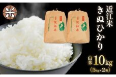 令和6年産 新米 白米 10㎏ キヌヒカリ 5kg × 2袋 精米 近江米 きぬひかり 国産 お米 米 おこめ ごはん ご飯 白飯 しろめし こめ ゴハン 御飯 滋賀県産 竜王 ふるさと ランキング 人気 おすすめ