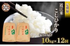 【 先行受付 】 令和6年産 新米 こしひかり 定期便 10kg 全12回 白米 5㎏ × 2袋 12ヶ月 近江米 コシヒカリ 国産 お米 米 おこめ ごはん ご飯 白飯 しろめし こめ ゴハン 御飯 滋賀県産 竜王 ふるさと ランキング 人気 おすすめ