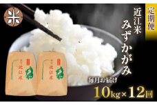 令和6年産 新米 みずかがみ 定期便 10kg 全12回 白米 5㎏ × 2袋 12ヶ月 近江米 ミズカガミ 国産 お米 米 おこめ ごはん ご飯 白飯 しろめし こめ ゴハン 御飯 滋賀県産 竜王 ふるさと ランキング 人気 おすすめ