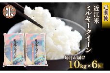 令和6年産 ミルキークイーン 定期便 10kg 全6回 白米 5㎏ × 2袋 6ヶ月 近江米 みるきーくいーん 国産 お米 米 おこめ ごはん ご飯 白飯 しろめし こめ ゴハン 御飯 滋賀県産 竜王 ふるさと ランキング 人気 おすすめ