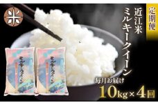令和7年産 ミルキークイーン 定期便 10kg 全4回 白米 5㎏ × 2袋 4ヶ月 近江米 みるきーくいーん 国産 お米 米 おこめ ごはん ご飯 白飯 しろめし こめ ゴハン 御飯 滋賀県産 竜王 ふるさと ランキング 人気 おすすめ