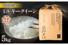 【 1～2週間以内に発送 】 新米 ミルキークイーン 5kg ( 令和7年産 金賞受賞農家 2025年産 ブランド 米 五キロ 米 おすすめ 米 rice 精米 白米 ご飯 内祝い 若井農園 十六代目米師又八 謹製 もちもち 国産 送料無料 滋賀県竜王町 ふるさと納税 )