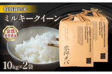 【 1～2週間以内に発送 】令和7年 新米 ミルキークイーン 10kg × 2袋 ( 令和7年産 2025年産 ブランド 米 20kg rice 精米 白米 ご飯 内祝い 十六代目米師又八 謹製 もちもち 国産 送料無料 滋賀県 竜王 ふるさと納税 )