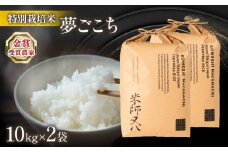 【 先行予約 】 新米 夢ごこち 10kg × 2袋 ( 令和7年産 20kg 2025年産 ブランド 米 rice 精米 白米 ご飯 内祝い 十六代目米師又八 謹製 もちもち 国産 送料無料 滋賀県 竜王 ふるさと納税 )
