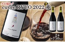 ワイン 2本 セット cuvee RYUO 2022 キュベリュウオウ 2本 セット 750ml × 2本 赤 ワイン ライト ボディ 辛口 マスカット ベリー ギフト 日本ワイン 酒  プレゼント 贈り物 ギフト ヒトミワイナリー お酒 地酒 果実酒 ぶどう酒 葡萄酒 滋賀 竜王町 送料無料