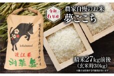 令和6年産 新米 農家自慢のお米 夢ごこち 精米 約27kg ( 2024年産 白米 お米 産地直送 農家直送 送料無料 滋賀県 竜王 ふるさと納税 )