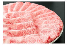 【近江牛 定期便【すきしゃぶ・焼肉食べ比べの会】全5回】肉 牛肉 ブランド牛 三大和牛 和牛 黒毛和牛 贈り物 ギフト プレゼント 滋賀県 竜王