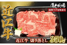 近江牛 霜降り すきやき用 約350g  ( ロース 肩ロース バラ ウデ 切り落とし スライス 黒毛和牛 牛肉 肉 ギフト すき焼き 自宅用 高級 黒毛和牛 国産 ふるさと納税 ブランド牛 三大和牛 和牛 冷凍 贈り物 内祝い 神戸牛 松阪牛 に並ぶ 日本三大和牛 滋賀県 竜王町 澤井牧場 )
