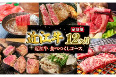 定期便 近江牛 特選 全12回 近江牛食べつくしコース ( 定期便 肉 黒毛和牛 牛肉 肉 すき焼き しゃぶしゃぶ 焼肉 ギフト 自宅用 高級 国産 ふるさと納税 ブランド牛 三大和牛 和牛 贈り物 内祝い 神戸牛 松阪牛 に並ぶ 日本三大和牛 滋賀県 竜王町 澤井牧場 送料無料 )