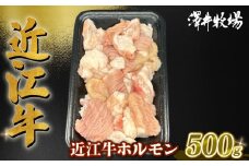 近江牛 ホルモン 500g (250g×2)  ( 黒毛和牛 牛肉 肉 ギフト 焼肉 焼き肉 自宅用 高級 黒毛和牛 国産 ふるさと納税 ブランド牛 三大和牛 和牛 冷凍 贈り物 内祝い 神戸牛 松阪牛 に並ぶ 日本三大和牛 滋賀県 竜王町 澤井牧場 )