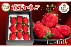 特撰 竜王 いちご 450g 以上 1箱 章姫 紅ほっぺ よつぼし かおり野 みおしずく はるひ すず あまえくぼ おいCベリー 1パック 大粒 苺 旬 産地 直送 フレッシュ イチゴ フルーツ 果物 国産 ベリー 贈答用 プレゼント 2025年1月より順次発送予定 滋賀県 竜王町 人気苺 ふるさと納税苺 ふるさと苺 furusato苺 おすすめ苺 送料無料