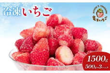 冷凍 いちご 1500g ( 500g × 3袋 ) 章姫 紅ほっぺ よつぼし みおしずく 苺 旬 産地 直送 フレッシュ イチゴ フルーツ 果物 国産 ベリー 2025年1月より順次発送予定 滋賀県 竜王町 人気苺 ふるさと納税苺 ふるさと苺 furusato苺 おすすめ苺 送料無料