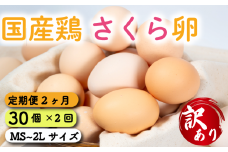 定期便 卵 30個  ( たまご 25個 + 割れ補償 5個 ) 2回 2ヶ月 定期便 国産 鶏 さくら 簡易包装 コクのある 濃い 卵黄 風味 とれたて 生 たまご  滋賀 地産地消  国産鶏 玉子 産みたて 新鮮 卵 かけご飯 たまご かけごはん 玉子 丼  卵 焼き すき焼き 目玉 焼き 玉子 スープ 茶碗蒸し ゆで たまご 卵 サンド滋賀県 竜王町
