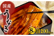 国産 うなぎ 蒲焼き 8尾 150g以上 × 8本入 計1200g 以上 冷凍 発送 ( 鰻 さんしょう たれ セット 本格 うなぎ 8匹 鰻 蒲焼 うな丼 うな重 ひつまぶし 人気 惣菜 海鮮 贈答用 プレゼント 贈り物 ギフト  滋賀県 竜王町 ふるさと納税 )