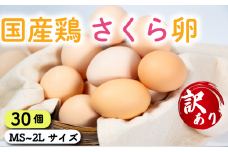 訳あり 卵 30個 ( たまご 25個 + 割れ補償 5個 ) 国産 鶏 さくら 簡易包装 コクのある 濃い 卵黄 風味 とれたて 生 たまご  滋賀 地産地消  国産鶏 玉子 産みたて 新鮮 卵 かけご飯 たまご かけごはん 玉子 丼  卵 焼き すき焼き 目玉 焼き 玉子 スープ 茶碗蒸し ゆで たまご 卵 サンド滋賀県 竜王町