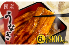 国産 うなぎ 蒲焼き 6尾 150g以上 × 6本入 計900g 以上 冷蔵 発送 ( 鰻 さんしょう たれ セット 本格 うなぎ 6匹 鰻 蒲焼 うな丼 うな重 ひつまぶし 人気 惣菜 海鮮 贈答用 プレゼント 贈り物 ギフト 滋賀県 竜王町 ふるさと納税 )
