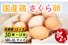 定期便 卵 30個  ( たまご 25個 + 割れ補償 5個 ) 12回 12ヶ月 定期便 国産 鶏 さくら 簡易包装 コクのある 濃い 卵黄 風味 とれたて 生 たまご  滋賀 地産地消  国産鶏 玉子 産みたて 新鮮 卵 かけご飯 たまご かけごはん 玉子 丼  卵 焼き すき焼き 目玉 焼き 玉子 スープ 茶碗蒸し ゆで たまご 卵 サンド滋賀県 竜王町