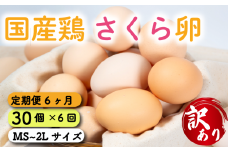 定期便 卵 30個  ( たまご 25個 + 割れ補償 5個 ) 6回 6ヶ月 定期便 国産 鶏 さくら 簡易包装 コクのある 濃い 卵黄 風味 とれたて 生 たまご  滋賀 地産地消  国産鶏 玉子 産みたて 新鮮 卵 かけご飯 たまご かけごはん 玉子 丼  卵 焼き すき焼き 目玉 焼き 玉子 スープ 茶碗蒸し ゆで たまご 卵 サンド滋賀県 竜王町