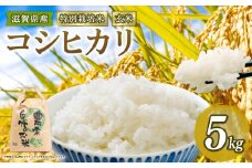 新米予約 特別栽培米 こしひかり 令和7年産 米 5kg 玄米 コシヒカリ 2025年産 国産 農家直送 環境こだわり お試し用 小分け お米 こめ おこめ 新米 先行予約 農家直送 産地直送 滋賀県 竜王町