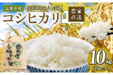 新米予約 特別栽培米 こしひかり 令和7年産 米 10kg 白米 コシヒカリ 2025年産 国産 農家直送 環境こだわり お試し用 小分け お米 こめ おこめ 新米 先行予約 農家直送 産地直送 滋賀県 竜王町