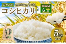 新米予約 特別栽培米 こしひかり 令和7年産 米 5kg 白米 定期便 6ヶ月 計 30kg コシヒカリ 2025年産 国産 農家直送 コシヒカリ 5kg × 6回 国産 農家直送 環境こだわり お試し用 お米 こめ おこめ 農家直送 産地直送 送料無料 
