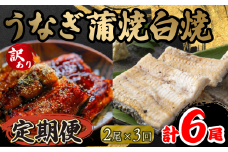 定期便 3回 訳あり うなぎ 蒲焼 白焼き 各1尾 150g以上 × 2本入 計6尾 食べ比べセット 計900g 以上 ( 鰻 3ヶ月 定期 さんしょう 入り 本格 うなぎ 2匹 冷凍 鰻 白焼 白焼き 蒲焼 蒲焼き うな丼 うな重 ひつまぶし 人気 惣菜 海鮮 贈答用 プレゼント 贈り物 ギフト 滋賀県 竜王町 ふるさと納税 )