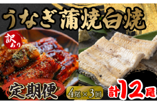 定期便 3回 訳あり うなぎ 蒲焼 白焼き 各2尾 150g以上 × 4本入 計12尾 食べ比べセット 計1800g 以上 ( 鰻 3ヶ月 定期 さんしょう 入り 本格 うなぎ 4匹 冷凍 鰻 白焼 白焼き 蒲焼 蒲焼き うな丼 うな重 ひつまぶし 人気 惣菜 海鮮 贈答用 プレゼント 贈り物 ギフト 滋賀県 竜王町 ふるさと納税 )