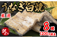 訳あり うなぎ 白焼き 8尾 150g以上 × 8本入 計1200g 以上 ( 鰻 さんしょう 入り 本格 うなぎ 8匹 冷凍 鰻 しらやき 白焼 うな丼 うな重 ひつまぶし 人気 惣菜 海鮮 贈答用 プレゼント 贈り物 ギフト  滋賀県 竜王町 ふるさと納税 )