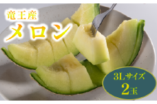 数量限定 特選 メロン 3L 2玉 果実 新鮮 くだもの めろん 品種おまかせ 青肉 アールスメロン 青肉メロン 品種 おまかせ フルーツ 数量限定 果物 期間限定 フルーツ 季節限定 果物 産地直送 フルーツ 旬 果物 果実 滋賀県 竜王町 ギフト 贈り物 プレゼント 送料無料 竜王 令和7年 甘い あまい おいしい メロン めろん 2025年