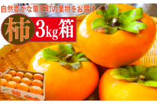 【 先行予約 】数量限定 特選 柿 3kg 箱入り 果実 新鮮 くだもの かき 品種おまかせ フルーツ 数量限定 柿 果物 期間限定 フルーツ 季節限定 果物 かき 産地直送 フルーツ 旬 果物 滋賀県 竜王町 ギフト プレゼント 送料無料 贈り物 箱入り 箱いり おまかせ ご自宅用 ご家庭用 柿 かき カキ 甘い あまい おいしい 2024年 令和6年産 10月中旬～11月頃お届け 