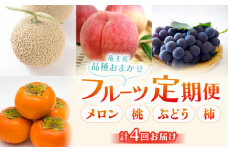 【 先行予約 】【 選べる 定期便 全4回 】 数量限定 期間限定 特選 フルーツ 定期便 旬のフルーツ4回便（メロン・桃・ぶどう・柿）