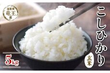 【 先行予約 】 令和7年産 新米 予約 コシヒカリ 玄米 5kg 米 滋賀県 竜王町 国産 農家直送 特別栽培米 こしひかり 2025年産 国産 農家直送 環境こだわり お米 こめ おこめ 産地直送 送料無料 滋賀県 竜王町 ふるさと納税