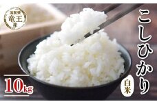 【 先行予約 】 令和7年産 新米 予約 コシヒカリ 白米 10kg 米 滋賀県 竜王町 国産 農家直送 特別栽培米 こしひかり 2025年産 国産 農家直送 環境こだわり お米 こめ おこめ 産地直送 送料無料 滋賀県 竜王町 ふるさと納税