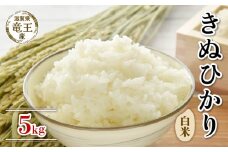 【 先行予約 】令和6年産 新米 予約 きぬひかり 白米 5kg 米 滋賀県 竜王町 国産 農家直送 特別栽培米 キヌヒカリ  2024年産 国産 農家直送 環境こだわり お米 こめ おこめ 産地直送 送料無料