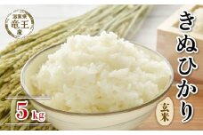 【 先行予約 】令和6年産 新米 予約 きぬひかり 玄米 5kg 米 滋賀県 竜王町 国産 農家直送 特別栽培米 キヌヒカリ  2024年産 国産 農家直送 環境こだわり お米 こめ おこめ 産地直送 送料無料